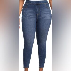 Terra&Sky Full Length Medium Wash Jegging 3x (24w-26w)